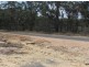 5 Back Creek Rd, Karara QLD 4352