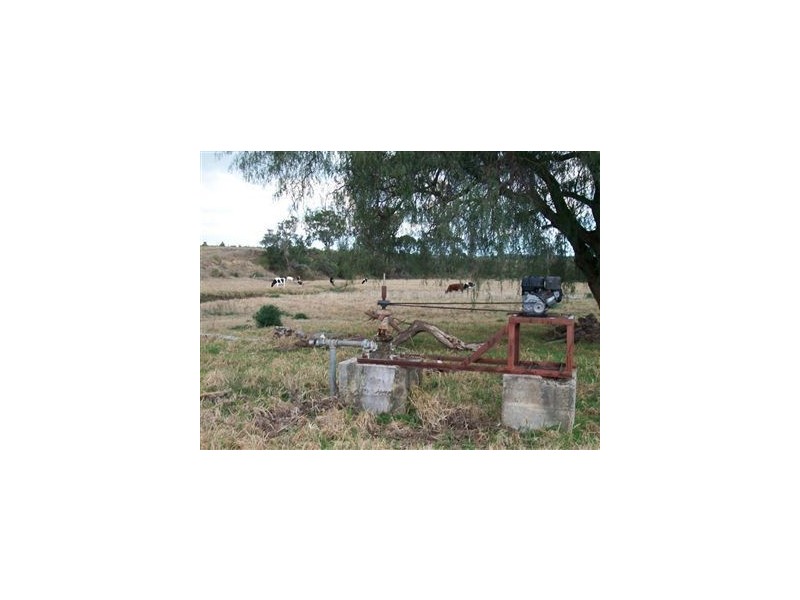 Warwick QLD 4370