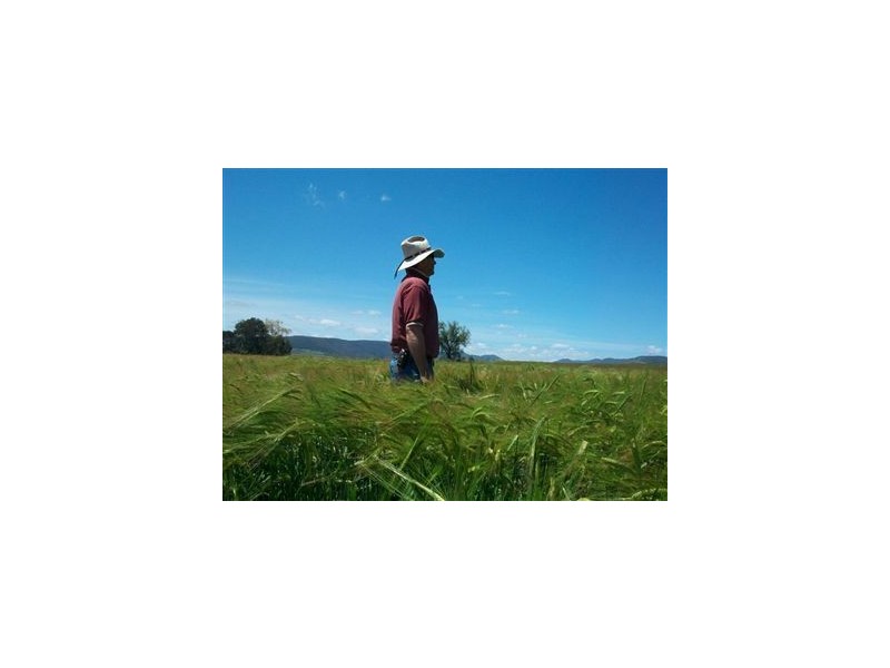 Warwick QLD 4370