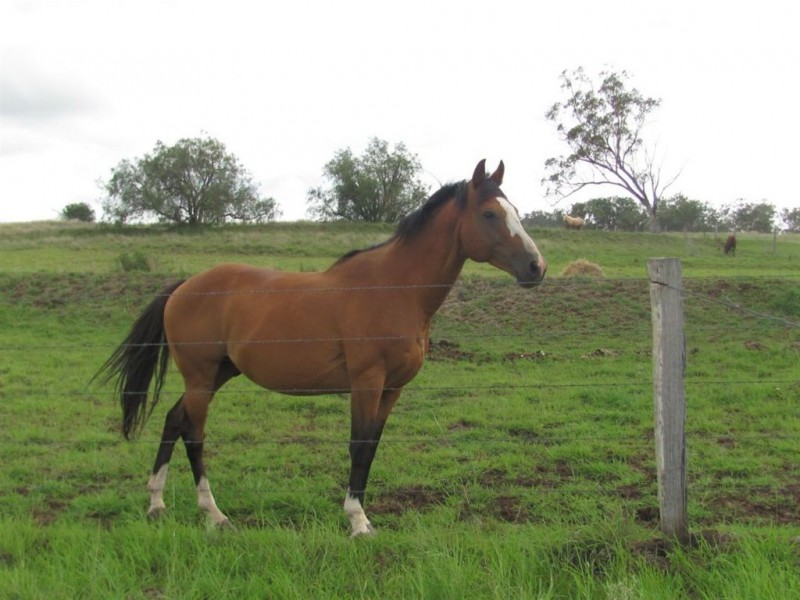 54 Hentschel Rd, Mount Marshall QLD 4362