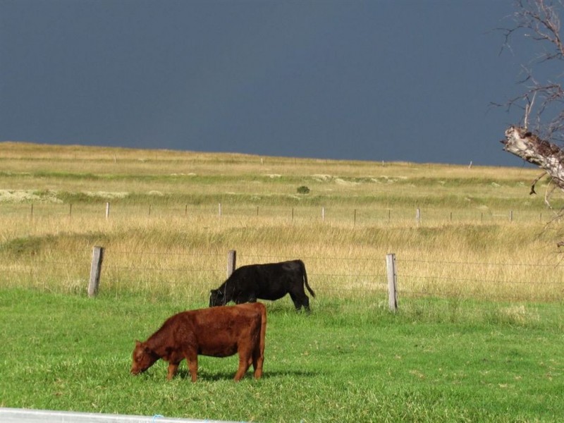 Mount Marshall QLD 4362