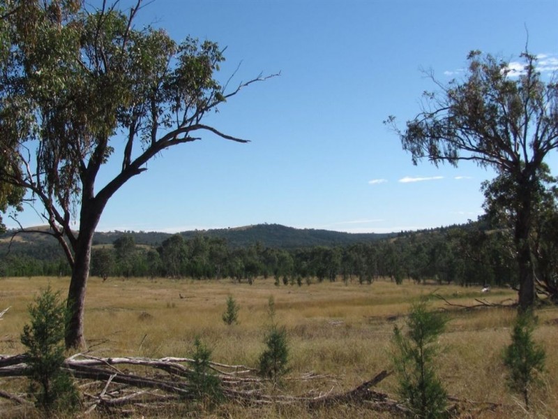 Oman Ama QLD 4352