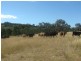 Oman Ama QLD 4352