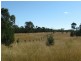 Oman Ama QLD 4352