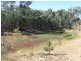 Oman Ama QLD 4352