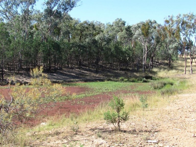 Oman Ama QLD 4352
