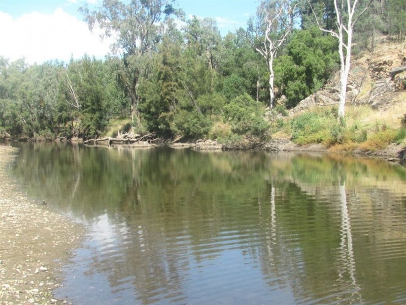 Oman Ama QLD 4352