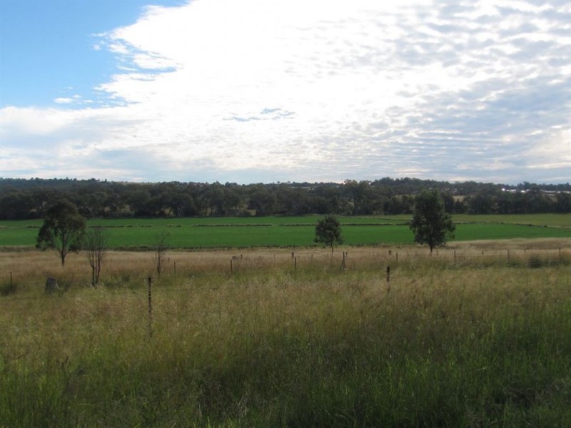 Warwick QLD 4370