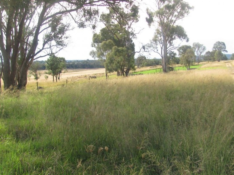 Warwick QLD 4370