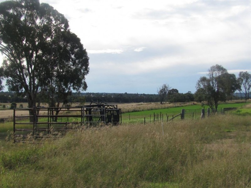 Warwick QLD 4370