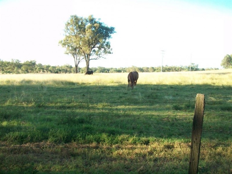 Warwick QLD 4370