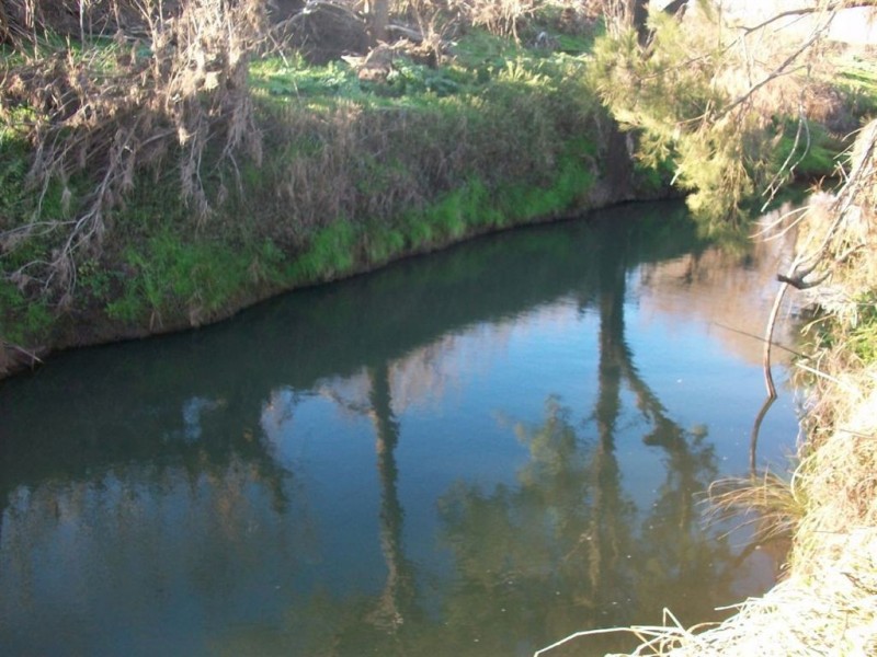 Warwick QLD 4370