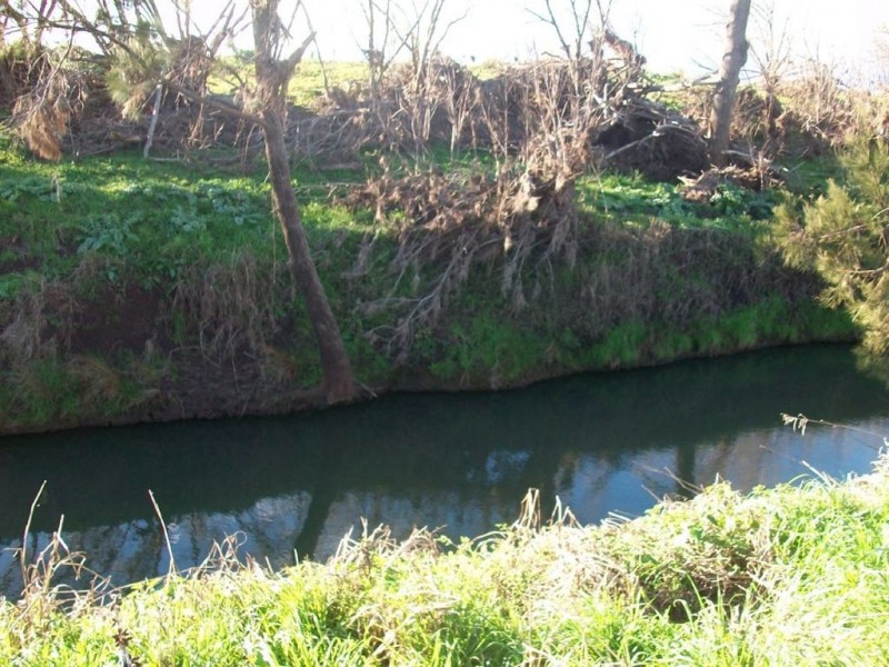 Warwick QLD 4370
