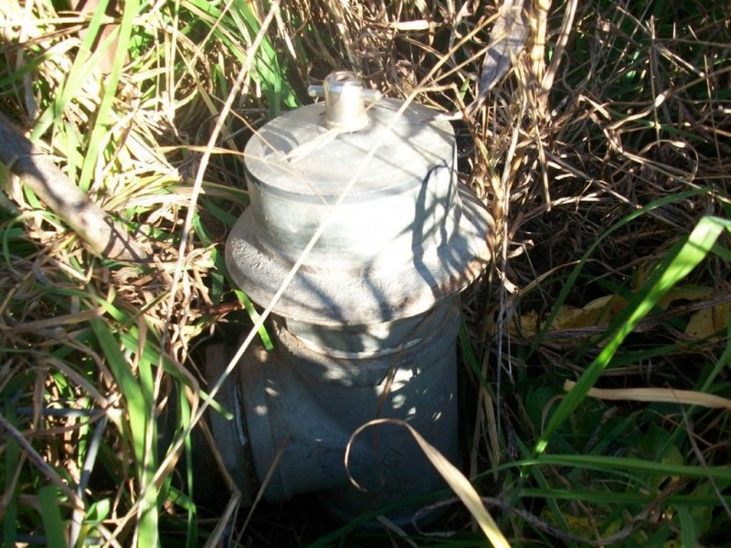 Warwick QLD 4370