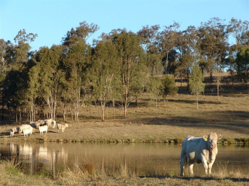 Christmas Creek QLD 4285