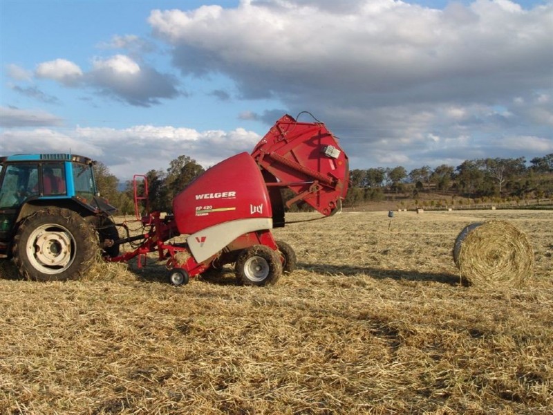 Christmas Creek QLD 4285