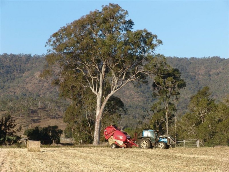 Christmas Creek QLD 4285