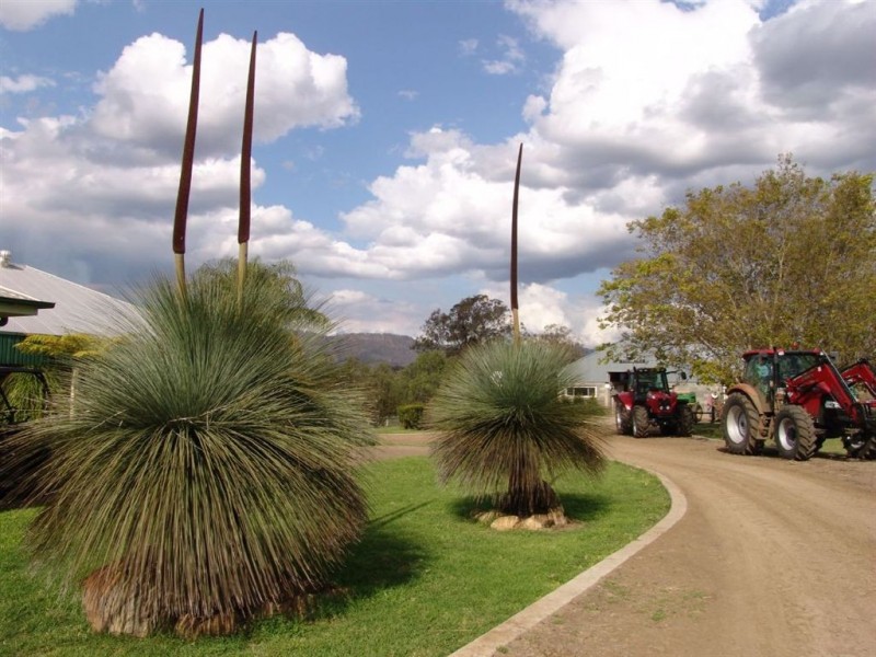 Christmas Creek QLD 4285