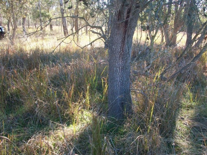 Warwick QLD 4370