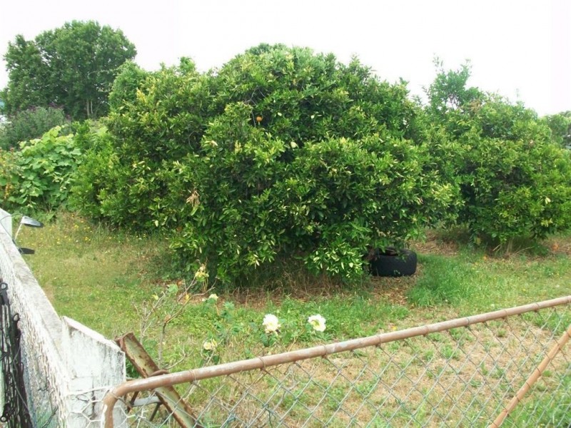 Warwick QLD 4370