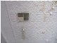 96 Grafton St., Warwick QLD 4370