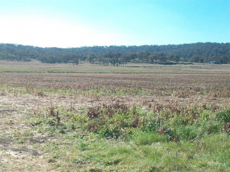 Warwick QLD 4370