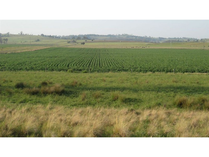 Killarney QLD 4373