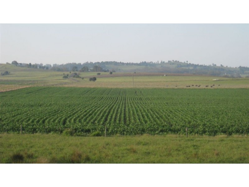 Killarney QLD 4373