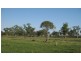 Killarney QLD 4373