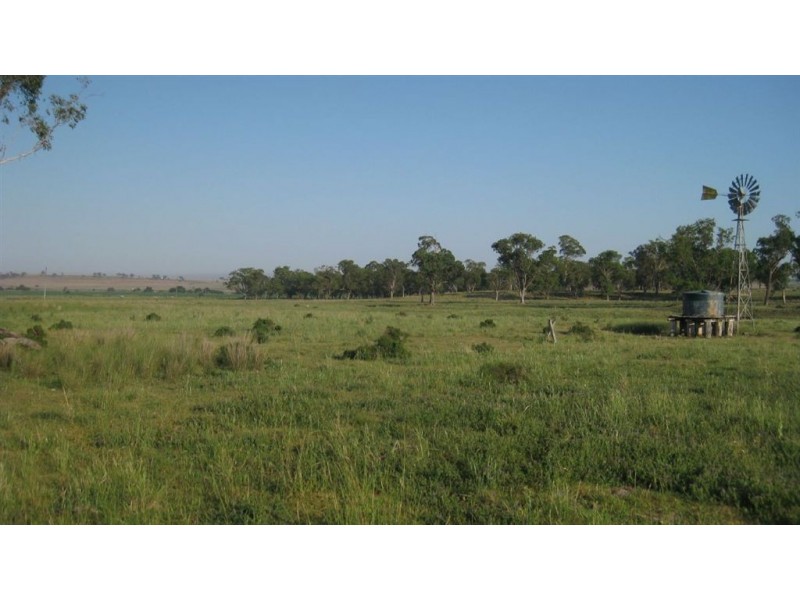 Killarney QLD 4373