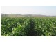 Killarney QLD 4373