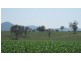 Killarney QLD 4373