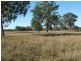 Leyburn QLD 4365