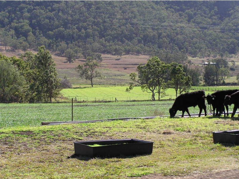 Goomburra QLD 4362