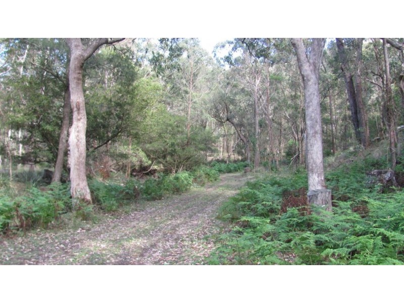 0 Top Swanfels Rd, Swanfels QLD 4371