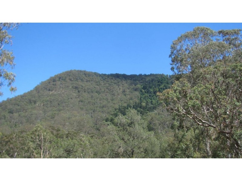 0 Top Swanfels Rd, Swanfels QLD 4371