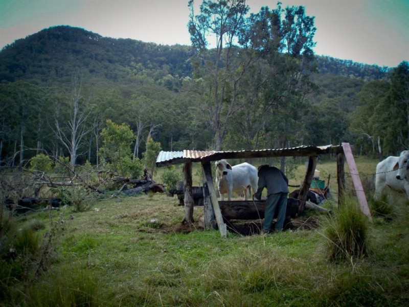 0 Top Swanfels Rd, Swanfels QLD 4371