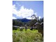 0 Top Swanfels Rd, Swanfels QLD 4371