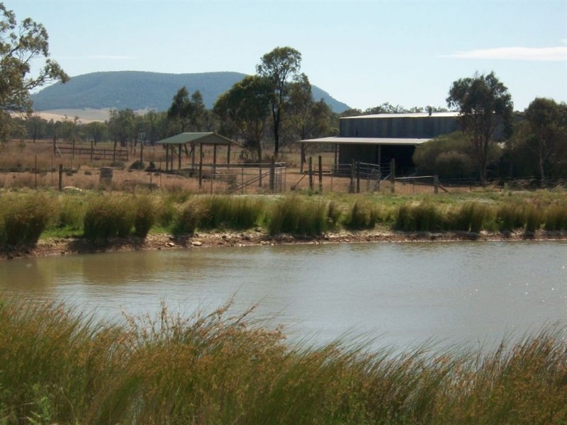 Warwick QLD 4370
