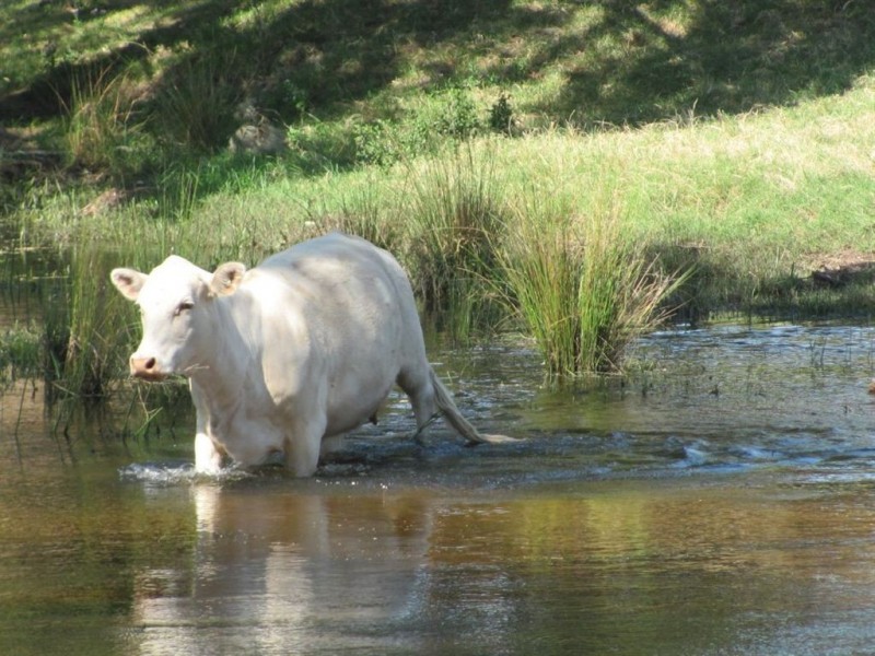 Warwick QLD 4370