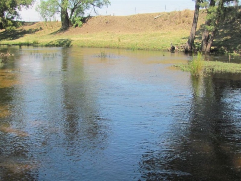 Warwick QLD 4370