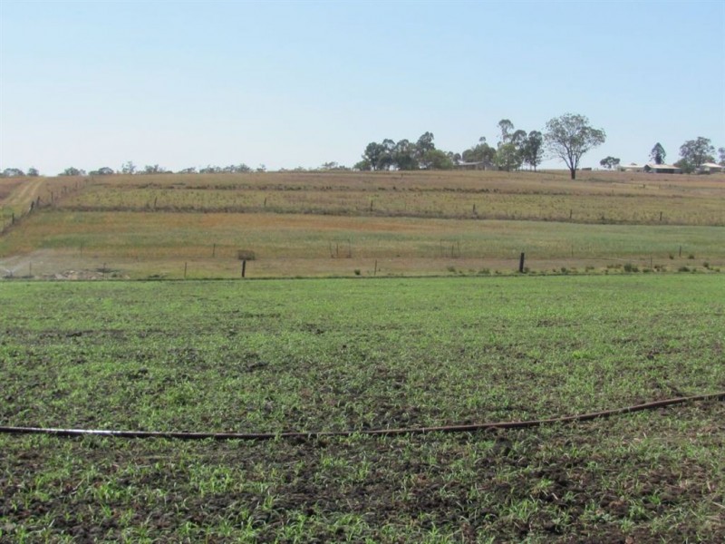 Warwick QLD 4370
