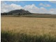 Yangan QLD 4371
