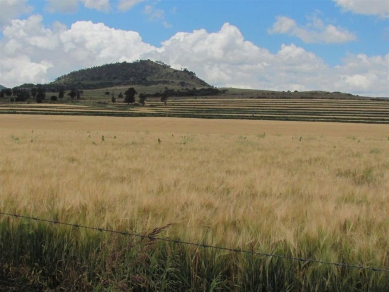 Yangan QLD 4371