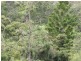 Swanfels QLD 4371