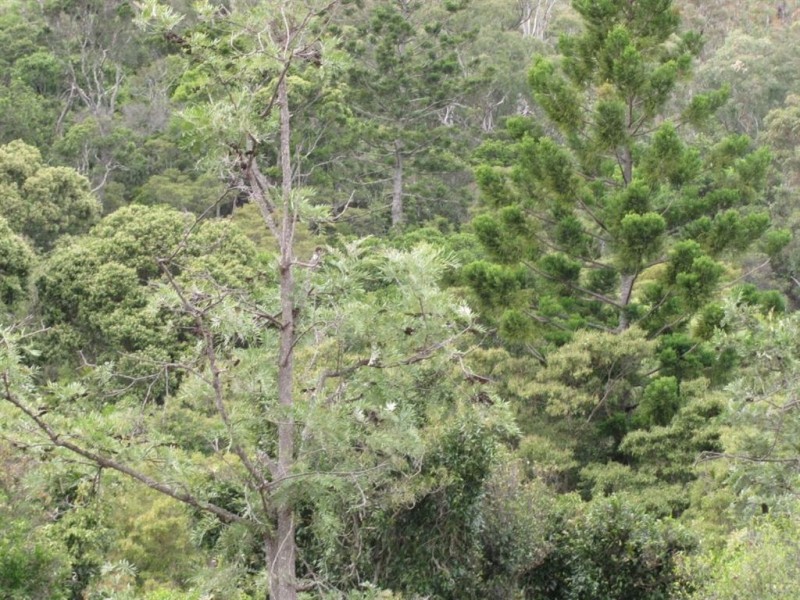 Swanfels QLD 4371