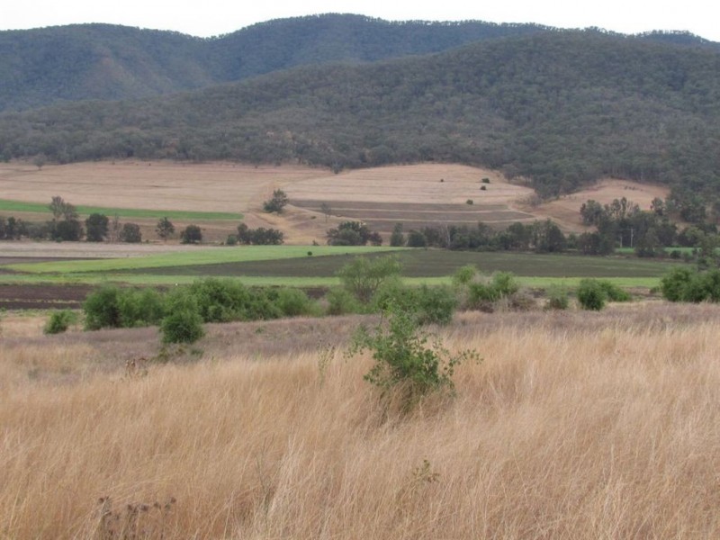 Swanfels QLD 4371