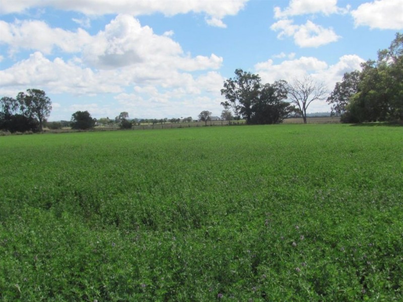 Warwick QLD 4370