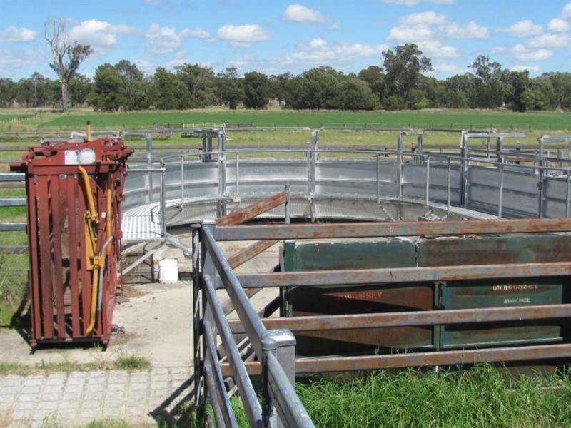 Warwick QLD 4370