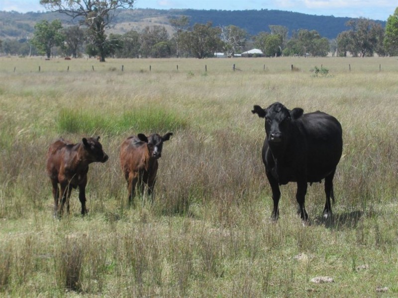 Warwick QLD 4370